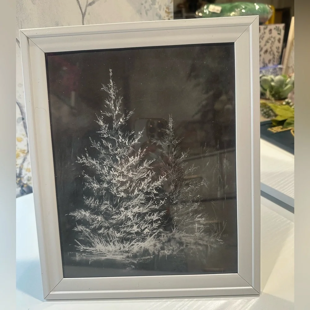 CHALK DUST TREES framed 8x10” print